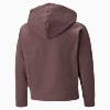 Görüntü Puma Modern Sports Genç Kapüşonlu Tam Fermuarlı Ceket #2