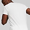 Görüntü Puma EVOSTRIPE Erkek Tişört #4