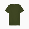 Görüntü Puma EVOSTRIPE Erkek Tişört #7