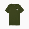 Görüntü Puma EVOSTRIPE Erkek Tişört #6