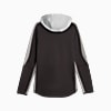Görüntü Puma EVOSTRIPE Erkek Fermuarlı Kapüşonlu Sweatshirt #7