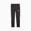 Görüntü Puma EVOSTRIPE Erkek Eşofman Altı #6