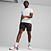 Görüntü Puma EVOSTRIPE Erkek Şort #4