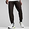 Görüntü Puma EVOSTRIPE Erkek Eşofman Altı #1