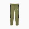 Görüntü Puma EVOSTRIPE Erkek Eşofman Altı #6