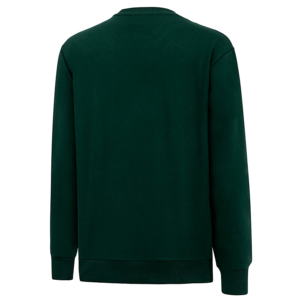 Görüntü Puma ISTANBUL COLLECTION GRAFİK Sweatshirt #2