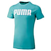 Görüntü Puma Puma Essentials Erkek Tişört #1