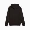 Görüntü Puma PUMA SQUAD Erkek Kapüşonlu Sweatshirt #7