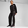 Görüntü Puma ESS+ CLASS ACT Kadın Sweatshirt #3