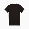 Görüntü Puma EVOSTRIPE Erkek Tişört #5