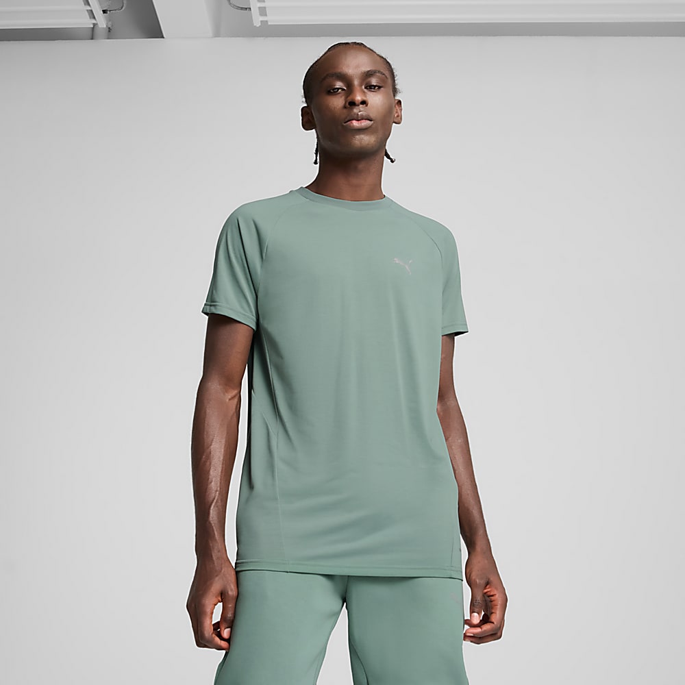 Görüntü Puma EVOSTRIPE Erkek Tişört #1