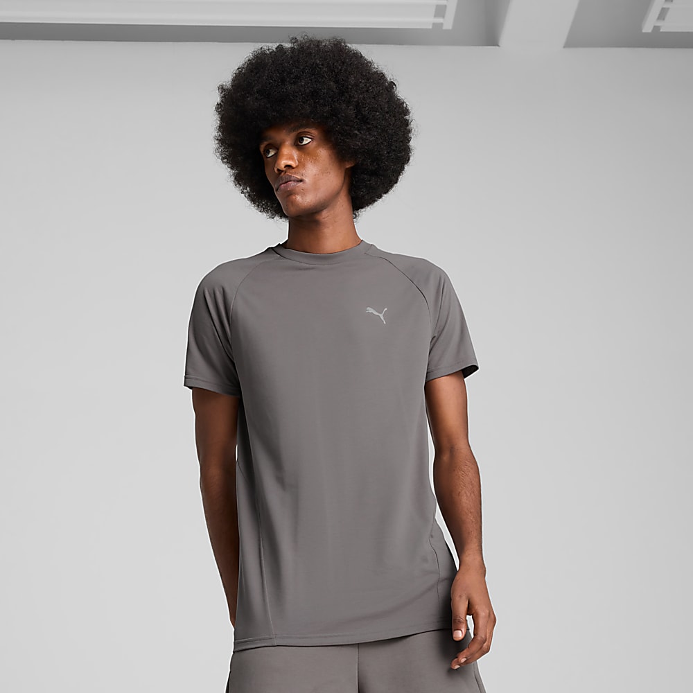 Görüntü Puma EVOSTRIPE Erkek Tişört #1