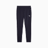 Görüntü Puma EVOSTRIPE Erkek Eşofman Altı #6