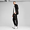 Görüntü Puma PUMA Sport Poly Erkek Track Ceket #3