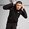 Görüntü Puma PUMA Sport Erkek Kapüşonlu SWEATSHIRT #0