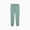 Görüntü Puma PUMA Sport Erkek Eşofman Altı #5