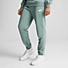 Görüntü Puma PUMA Sport Erkek Eşofman Altı #0