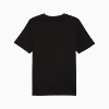Görüntü Puma ESSENTIALS Small Logo Erkek Tişört #2