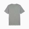 Görüntü Puma ESSENTIALS Small Logo Erkek Tişört #2
