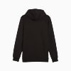 Görüntü Puma ESSENTIALS Small Logo Erkek Kapüşonlu Sweatshirt #2
