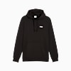 Görüntü Puma ESSENTIALS Small Logo Erkek Kapüşonlu Sweatshirt #1