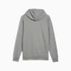 Görüntü Puma ESSENTIALS Small Logo Erkek Kapüşonlu Sweatshirt #2