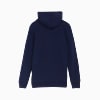 Görüntü Puma ESSENTIALS Small Logo Erkek Kapüşonlu Sweatshirt #2