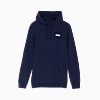 Görüntü Puma ESSENTIALS Small Logo Erkek Kapüşonlu Sweatshirt #1