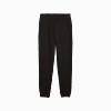 Görüntü Puma ESSENTIALS Logo Erkek Eşofman Altı #1