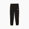 Görüntü Puma ESSENTIALS Logo Erkek Eşofman Altı #0