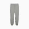 Görüntü Puma ESSENTIALS Logo Erkek Eşofman Altı #2