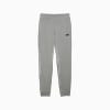 Görüntü Puma ESSENTIALS Logo Erkek Eşofman Altı #1