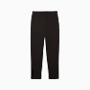 Görüntü Puma ESSENTIALS Logo Erkek Eşofman Altı #2