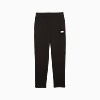 Görüntü Puma ESSENTIALS Logo Erkek Eşofman Altı #1