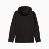 Görüntü Puma EVOSTRIPE Erkek Kapüşonlu SWEATSHIRT #5