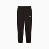 Görüntü Puma ESSENTIALS Logo Kadın Eşofman Altı #1