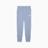 Görüntü Puma ESSENTIALS Logo Kadın Eşofman Altı #1