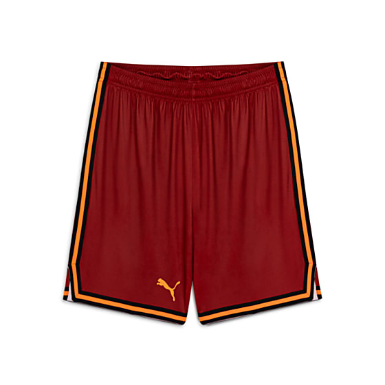 Шорты Puma Galatasaray Alternatif Basketbol Şortu для баскетбола