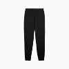 Görüntü Puma ESSENTIALS ELEVATED Erkek Eşofman Altı #7