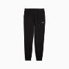 Görüntü Puma ESSENTIALS ELEVATED Erkek Eşofman Altı #6