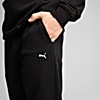 Görüntü Puma ESSENTIALS ELEVATED Erkek Eşofman Altı #2