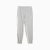 Görüntü Puma ESSENTIALS ELEVATED Erkek Eşofman Altı #6
