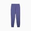 Görüntü Puma ESSENTIALS ELEVATED Erkek Eşofman Altı #2