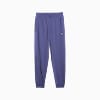 Görüntü Puma ESSENTIALS ELEVATED Erkek Eşofman Altı #1