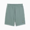 Görüntü Puma ESSENTIALS ELEVATED Erkek 9
