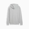 Görüntü Puma ESSENTIALS ELEVATED Erkek Kapüşonlu SWEATSHIRT #2