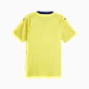Görüntü Puma Fenerbahçe S.K. 23/24 Erkek Promo Deplasman Forması #2
