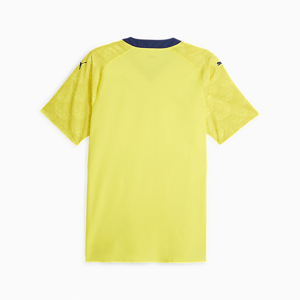 Görüntü Puma Fenerbahçe S.K. 23/24 Erkek Promo Deplasman Forması #2