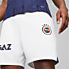 Görüntü Puma Fenerbahçe S.K. 23/24 Erkek Şort #3