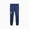 Görüntü Puma Fenerbahçe S.K. Erkek Antrenman Eşofman Altı #6